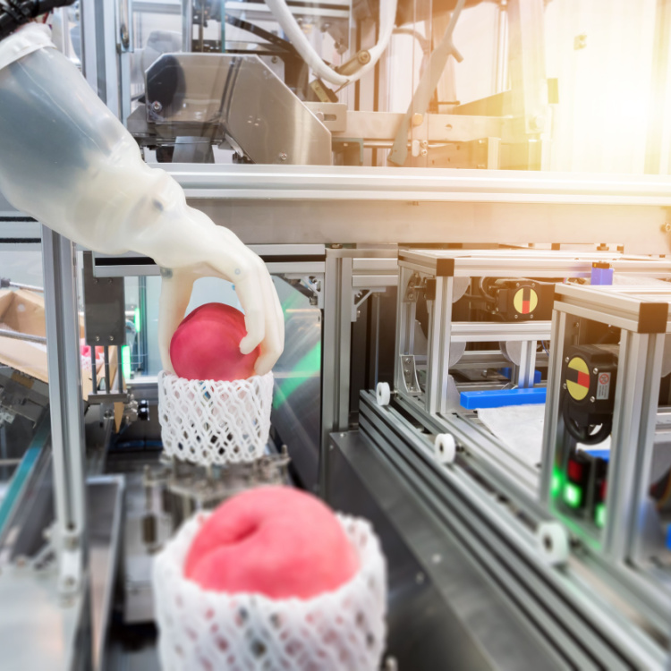 The Rise of Cobots in 2023 | IMI