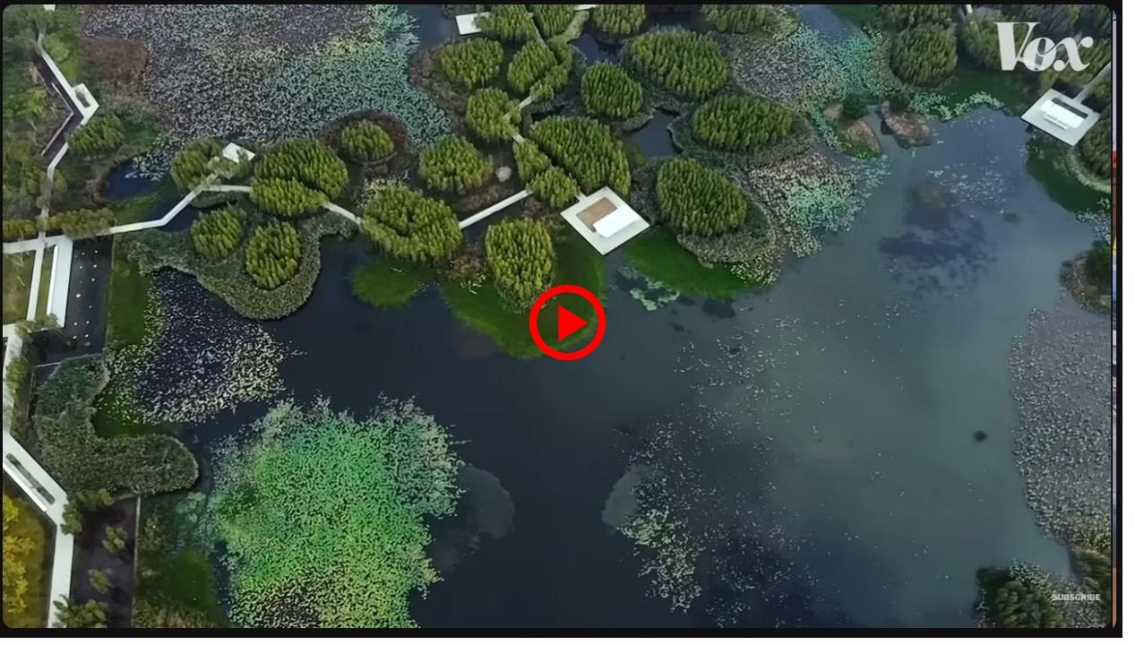 How China is designing flood-resistant cities