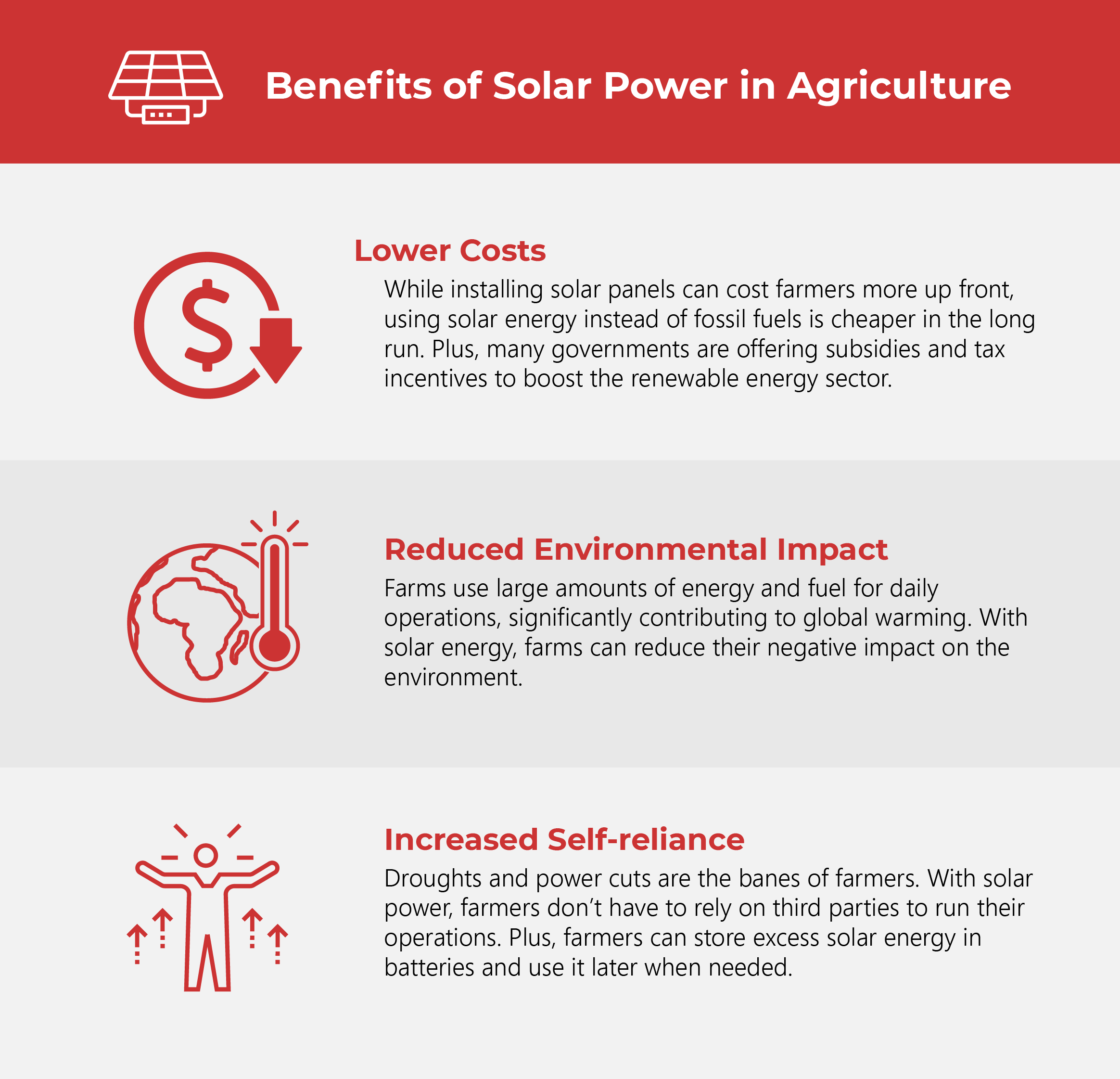 Agrivoltaics: Boosting Clean Energy and Food Security
