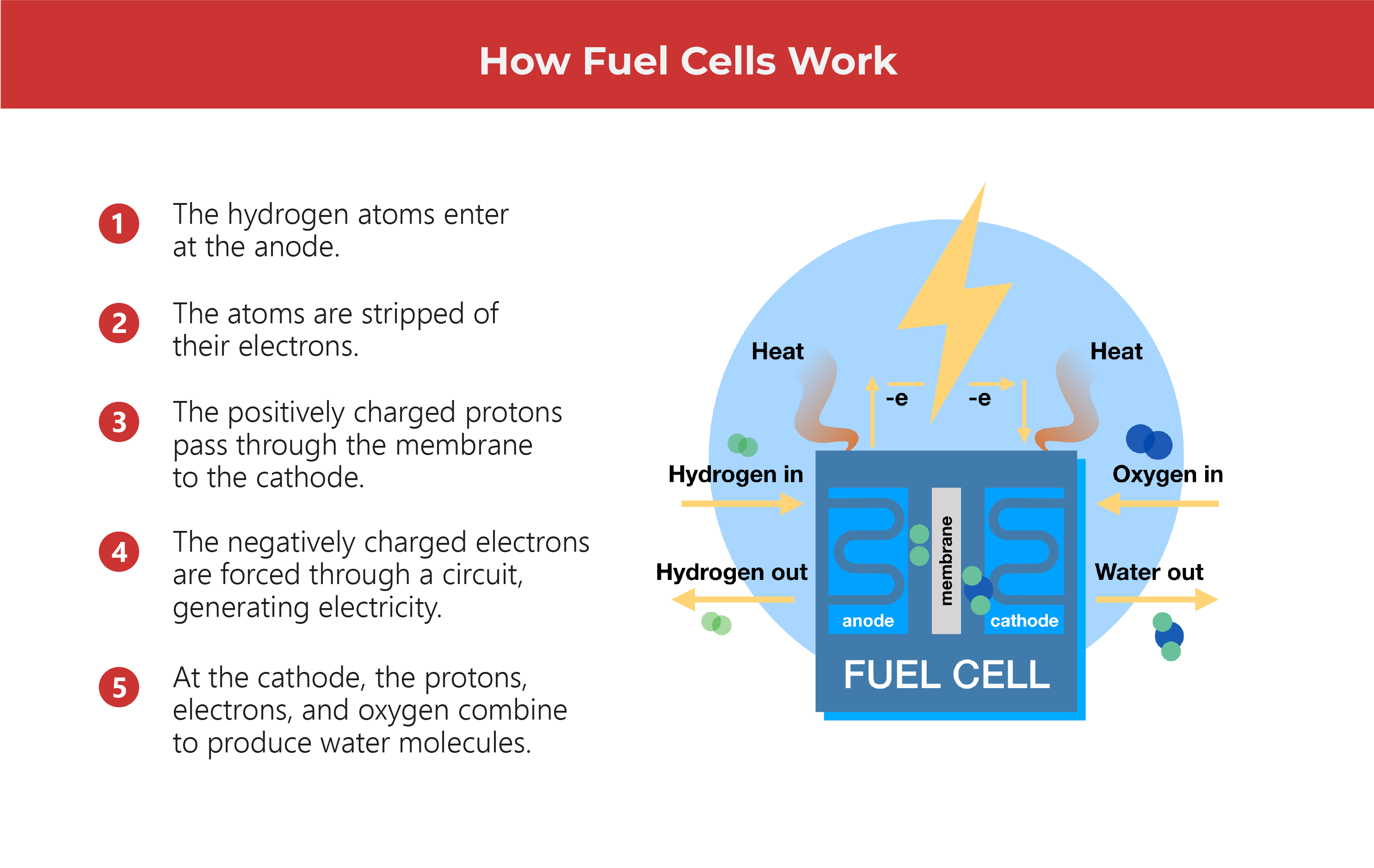 Hydrogen: The Great Hype or Hope? 