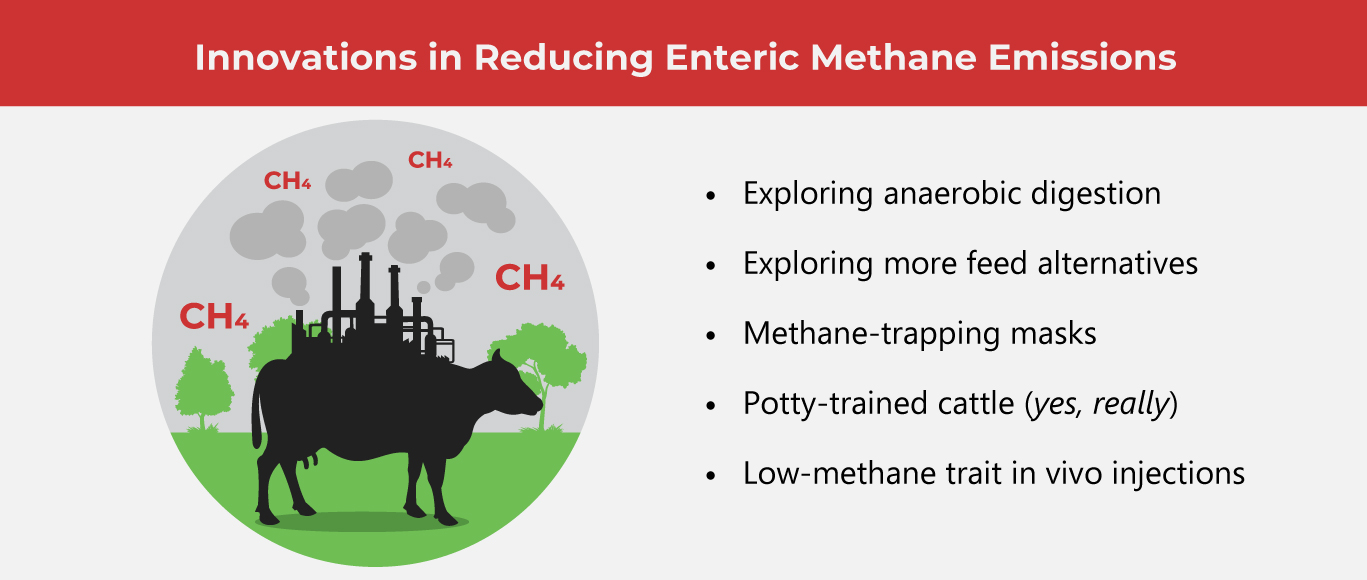 What’s So Funny about Enteric Methane Emissions?