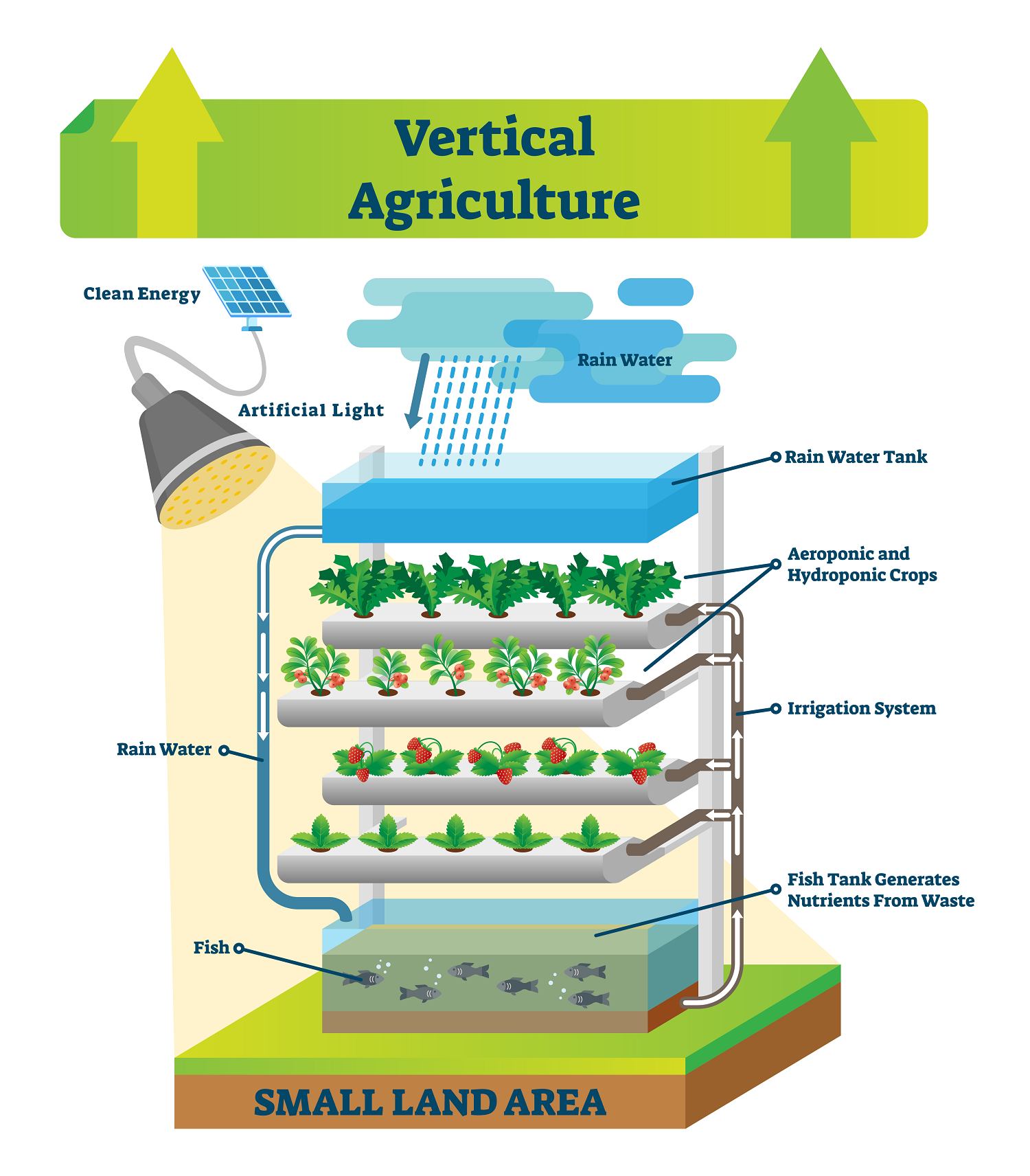 Vertical Farming Takes Food Production to Greater Heights