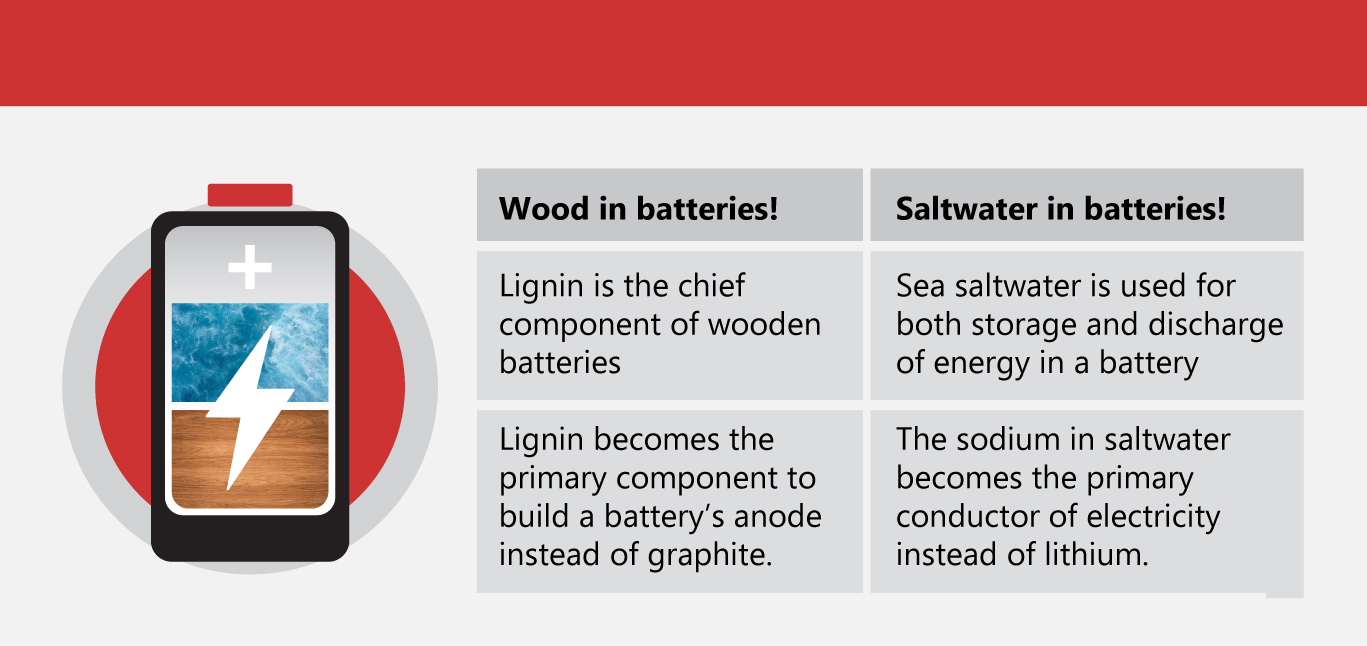 Have You Heard of Wooden Batteries?