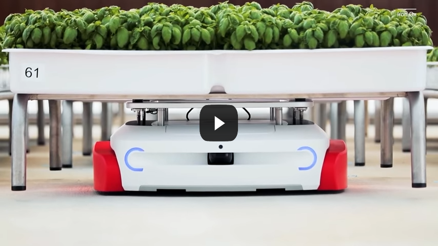 Vertical Farming Takes Food Production to Greater Heights