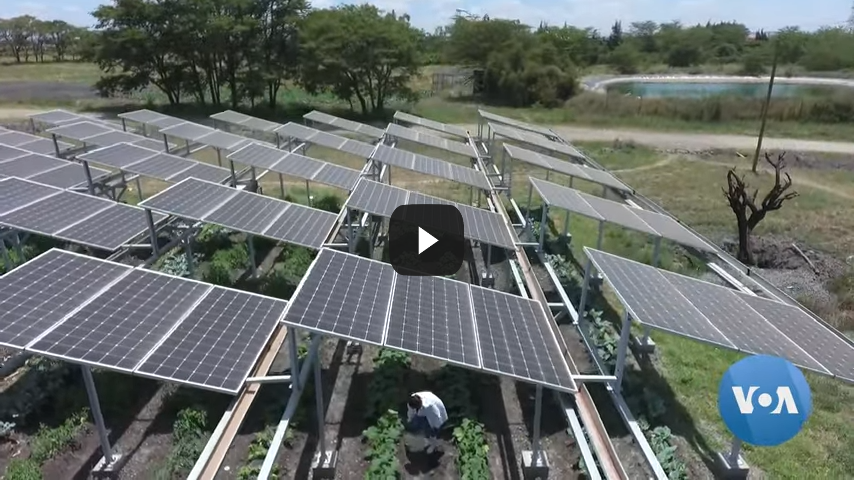 Solar Panel Technology Boosts Yields for Farmers in Kenya