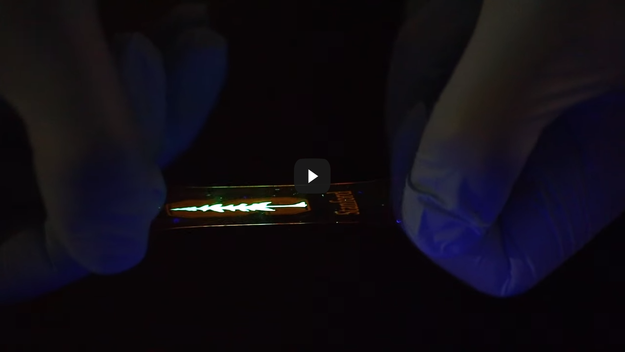 Stanford engineers develop stretchy display for shapable electronics