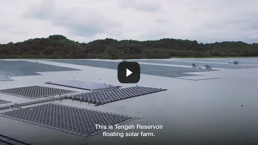 Why Singapore built one of the world’s biggest floating solar farms