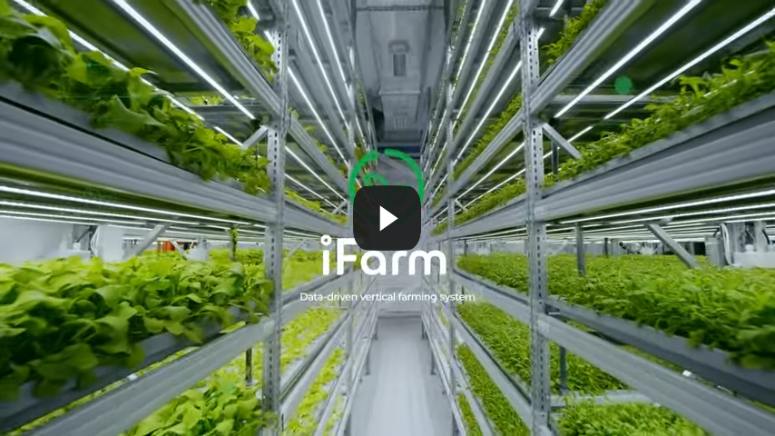 Vertical Farming Takes Food Production to Greater Heights