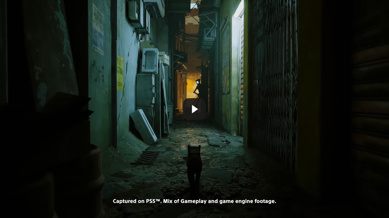 Stray Gameplay Trailer  Sony State of Play June 2022 